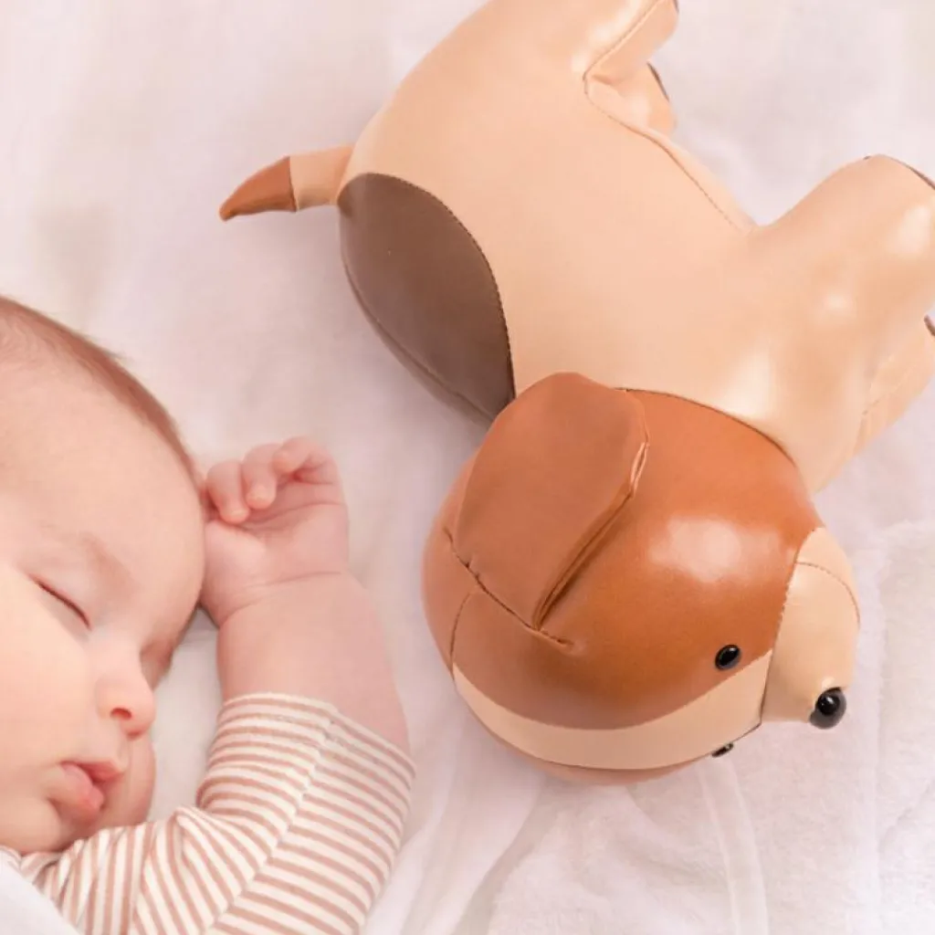 Little Big Friends Adrien le Chien musical