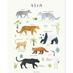 Lilipinso Affiche Animaux d'Asie (30 x 40 cm)