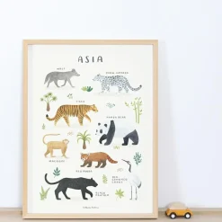 Lilipinso Affiche Animaux d'Asie (30 x 40 cm)
