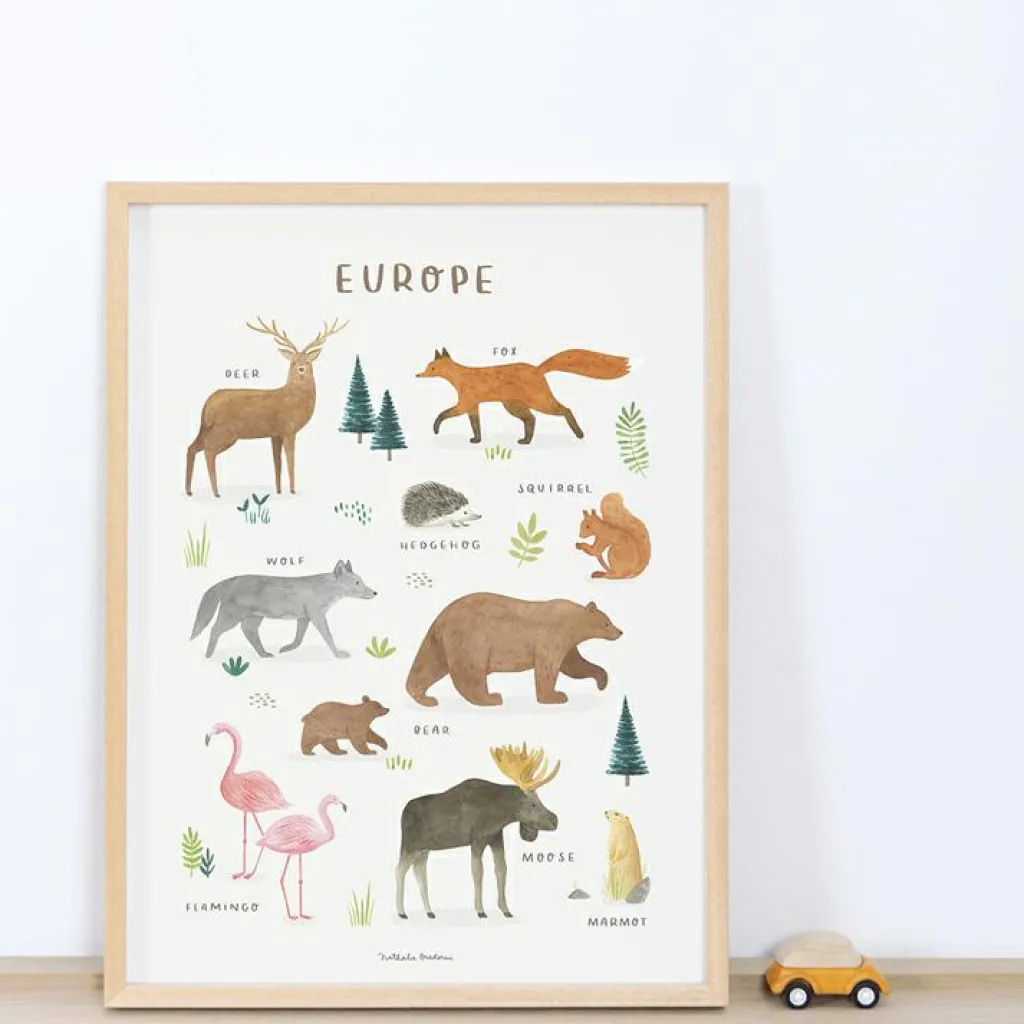 New Affiche Animaux d'Europe (30 x 40 cm) Affiche
