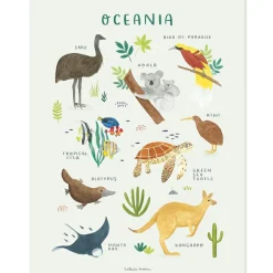 Lilipinso Affiche Animaux d'Océanie (30 x 40 cm)