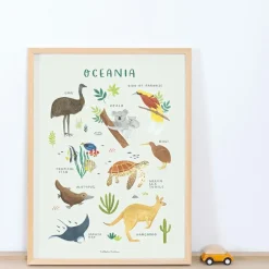 Lilipinso Affiche Animaux d'Océanie (30 x 40 cm)