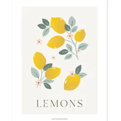 Outlet Affiche citrons Lemons (30 x 40 cm) Affiche