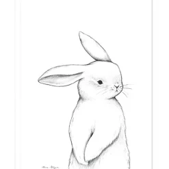 Best Affiche lapin de face (30 x 40 cm) Affiche