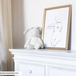 Best Affiche lapin de face (30 x 40 cm) Affiche