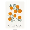 Clearance Affiche Oranges (30 x 40 cm) Affiche