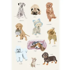 Best Affiche Puppy (60 x 40 cm) Affiche