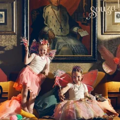 Sale Ailes de fée + tutu Carlina Enfant Déguisement Enfant