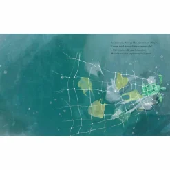 Discount Album La petite tortue et l'océan Enfant Livre Enfant