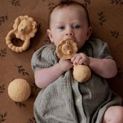 Best Anneau de dentition Lion Jouet / Anneau De Dentition