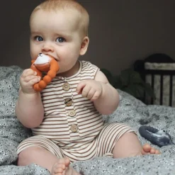 Online Anneau de dentition Renard Jouet / Anneau De Dentition