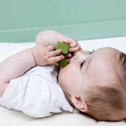 Trixie Anneau de dentition réfrigérant Mr. Dino