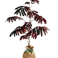 Best Arbre à offrir Arbre à soie pourpre - Joie et équilibre Arbre De Naissance