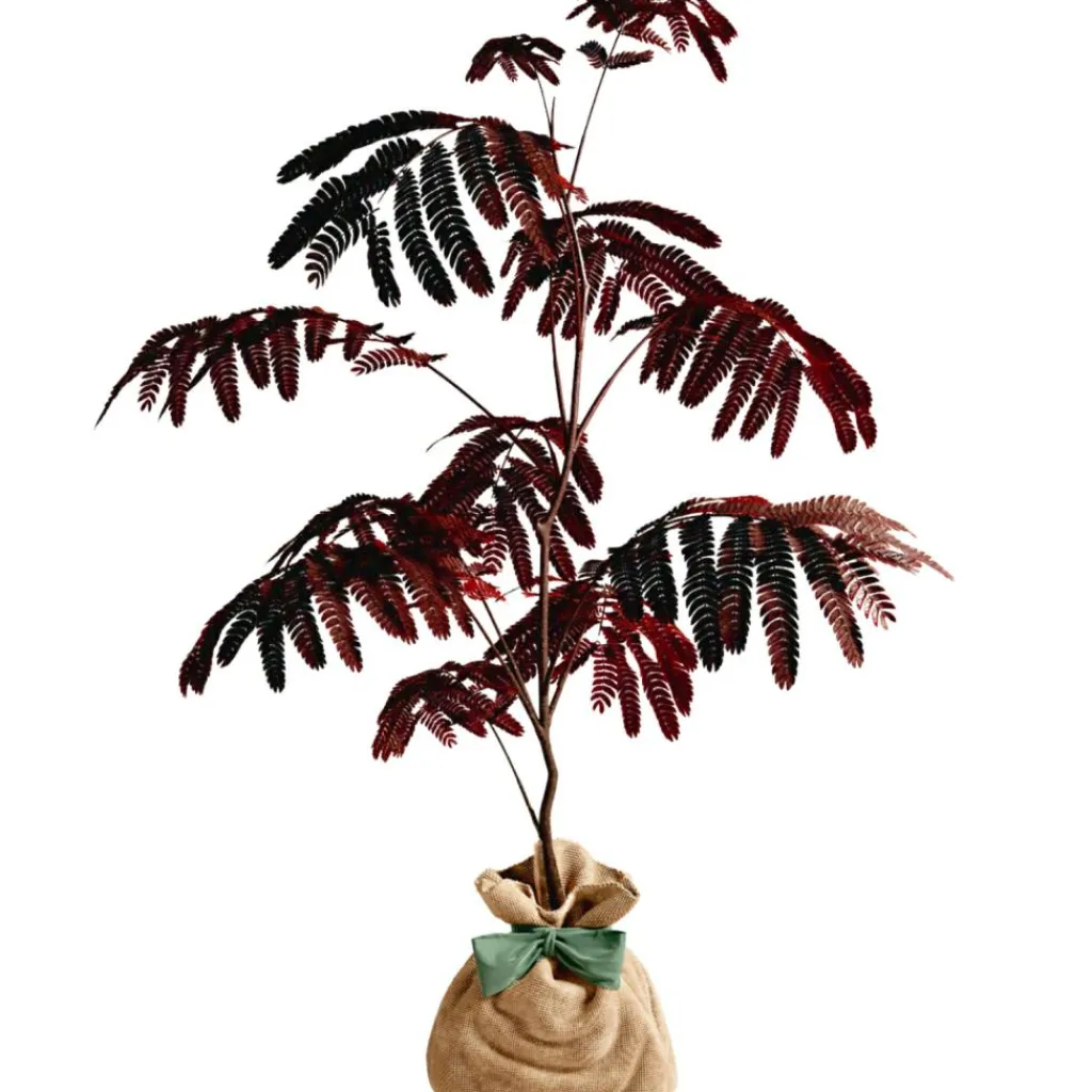 Best Arbre à offrir Arbre à soie pourpre - Joie et équilibre Arbre De Naissance