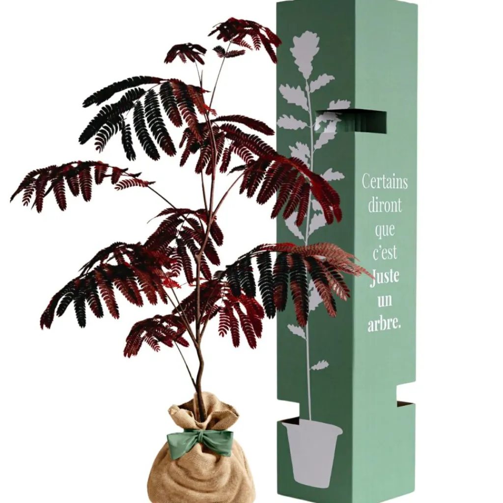 Best Arbre à offrir Arbre à soie pourpre - Joie et équilibre Arbre De Naissance