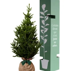 Juste un Arbre Arbre à offrir Epicea - Endurance, Force et Longévité