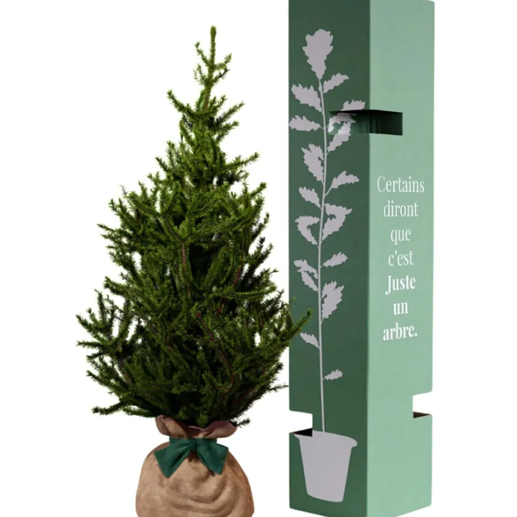 Juste un Arbre Arbre à offrir Epicea - Endurance, Force et Longévité