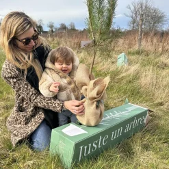 Juste un Arbre Arbre à offrir Pin Sylvestre - Immortalité et Persévérance