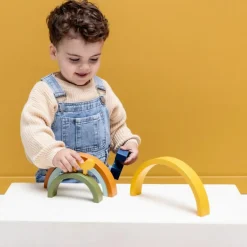 Trixie Arc-en-ciel à empiler en bois Mr. Lion