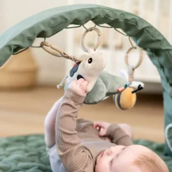 Arche d'activités Tiny farm Vert Arche De Jeux