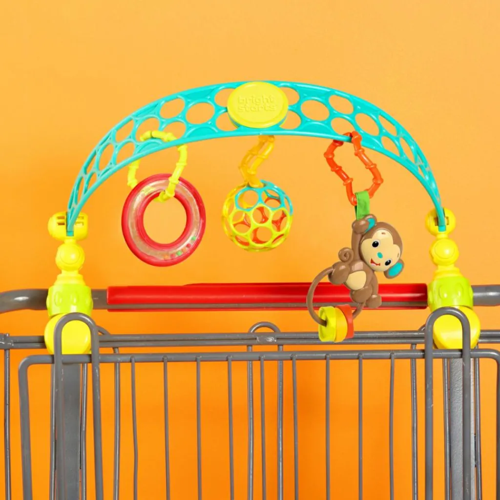 Arche de jeu nomade Oball Flex'n Go Arche De Jeux