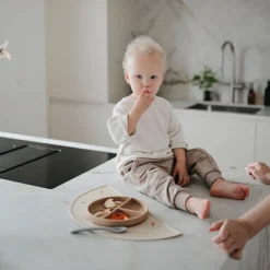 Best Assiette à compartiments en silicone avec ventouse Natural Assiette