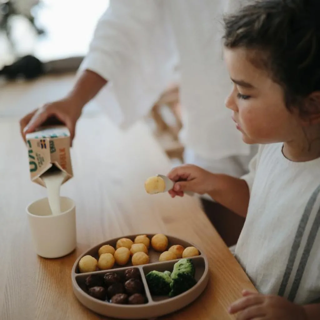 Best Assiette à compartiments en silicone avec ventouse Natural Assiette