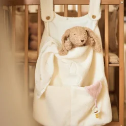 Jollein Attache sucette feuille Wild Rose