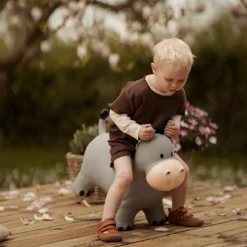 Online Ballon sauteur Le Hippo Holger Ballon Sauteur