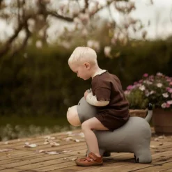 Online Ballon sauteur Le Hippo Holger Ballon Sauteur