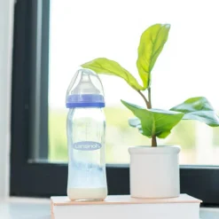 Lansinoh Biberon en verre Natural Wave spécial allaitement (240 ml)