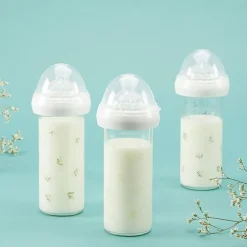 New Biberon verre anti colique Gypsophile vert (240 ml) Biberon