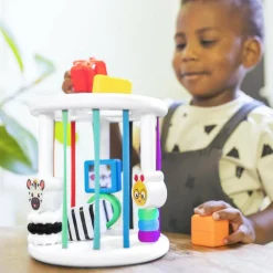 Baby Einstein Boîte à formes Zèbre et Chenille