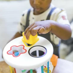 Baby Einstein Boîte à formes Zèbre et Chenille