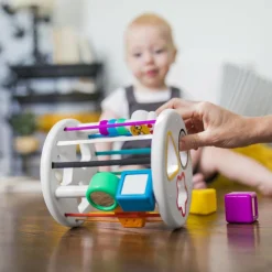 Baby Einstein Boîte à formes Zèbre et Chenille