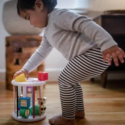 Baby Einstein Boîte à formes Zèbre et Chenille