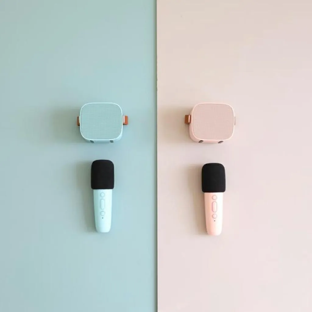 Boîte karaoké enceinte et micro Rose - Reconditionné Micro Karaoké