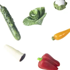 Hot Bouteille sensorielle Learn bottle Veggies Bouteille Sensorielle