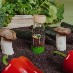 Hot Bouteille sensorielle Learn bottle Veggies Bouteille Sensorielle