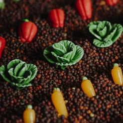 Hot Bouteille sensorielle Learn bottle Veggies Bouteille Sensorielle