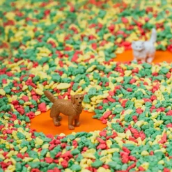 Petit Boum Bouteille sensorielle Spy Animaux de compagnie