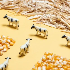 Petit Boum Bouteille sensorielle Spy Ferme