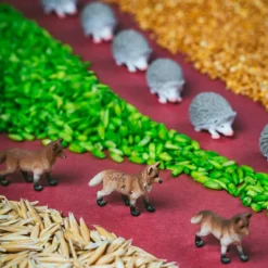 Best Bouteille sensorielle Spy Forest Bouteille Sensorielle