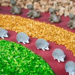 Best Bouteille sensorielle Spy Forest Bouteille Sensorielle