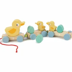 New Canards à tirer Jouet À Tirer / Pousser