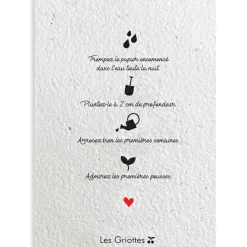 New Carte à planter A5 Merci Maîtresse Cadeaux Maîtresse / Nounou