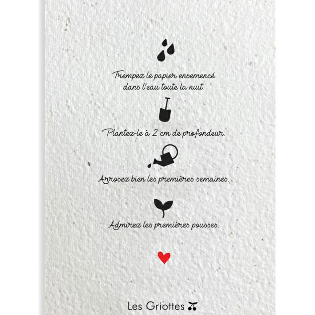 New Carte à planter A5 Merci Maîtresse Cadeaux Maîtresse / Nounou