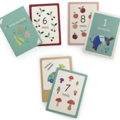 Moulin Roty Cartes Mes 12 premiers mois Pomme des Bois