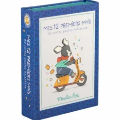 Clearance Cartes Mes 12 premiers mois Puce et Pilou Cartes Étapes De Bébé