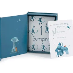 Cartes Mes 12 premiers mois Sous mon Baobab Cartes Étapes De Bébé